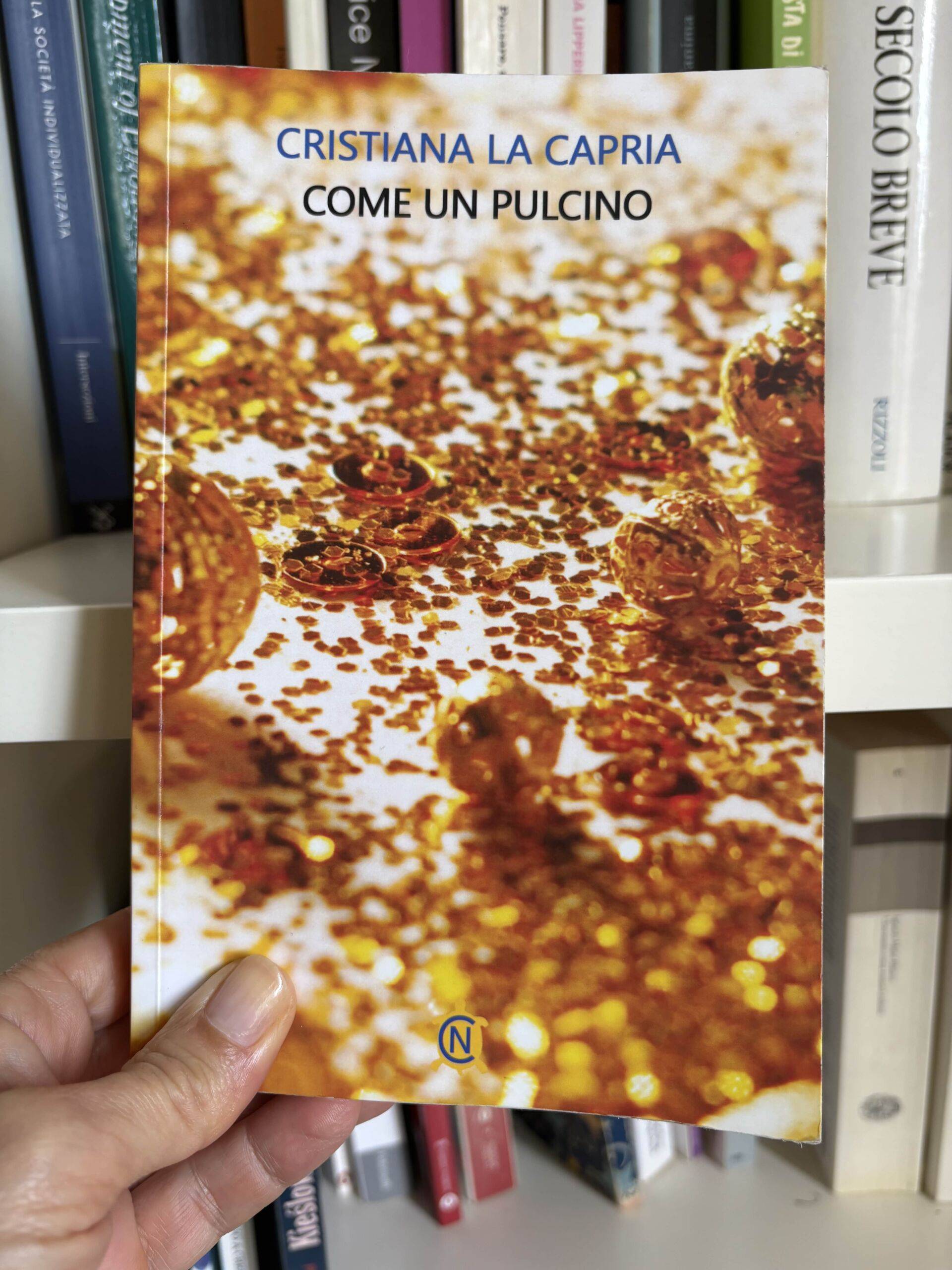 Come un pulcino, foto copertina